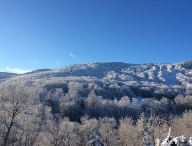 Chalet a louer