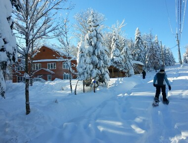 Chalet a louer