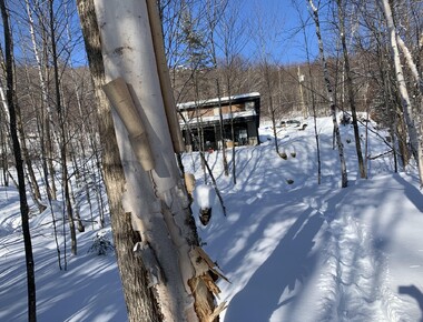 Chalet a louer